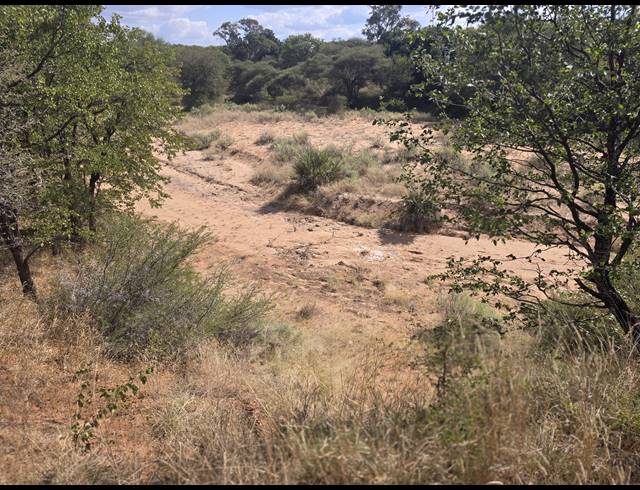 93HA FARM FOR SALE IN MOPANE